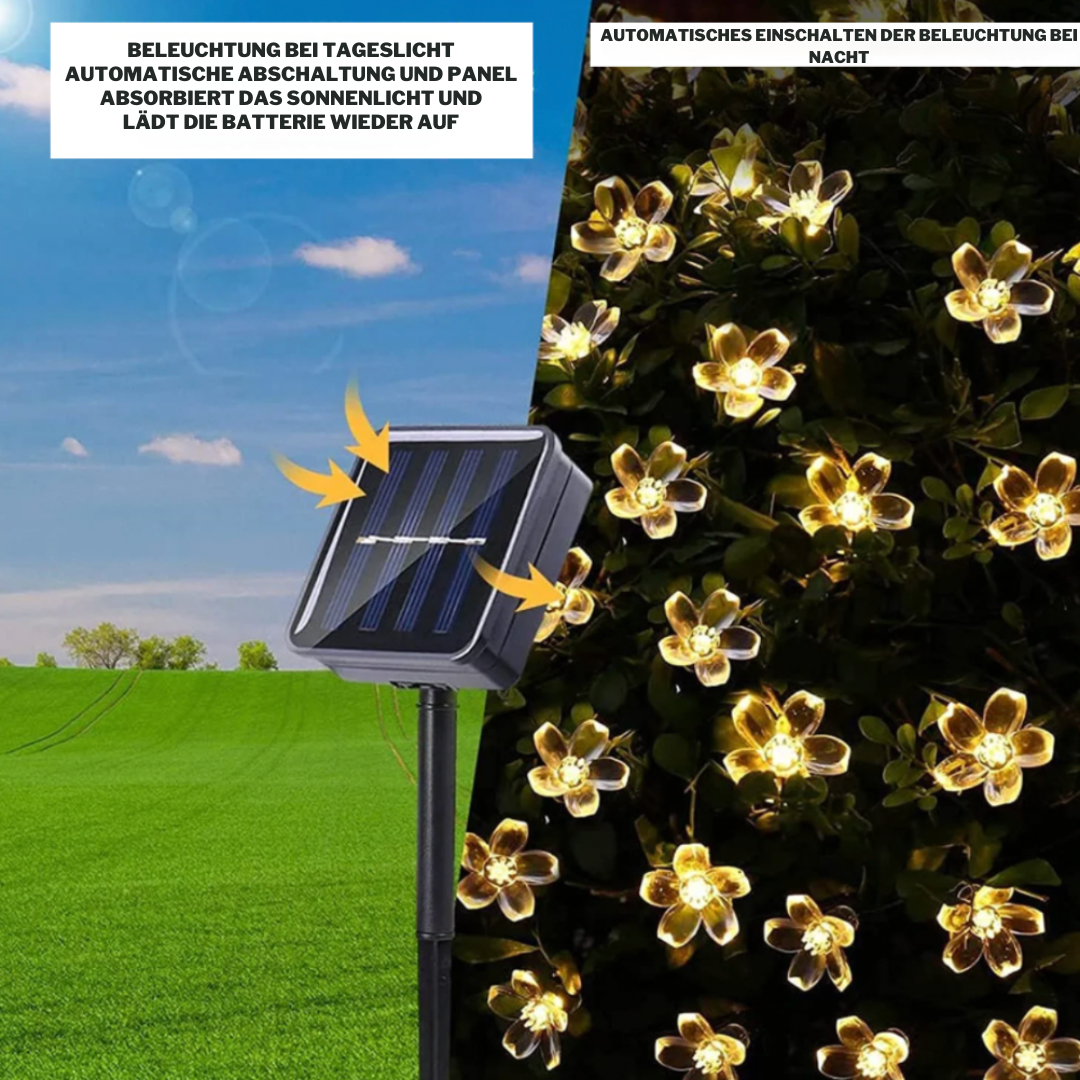 FlowerLights™ | LED-betriebene Solarbeleuchtung